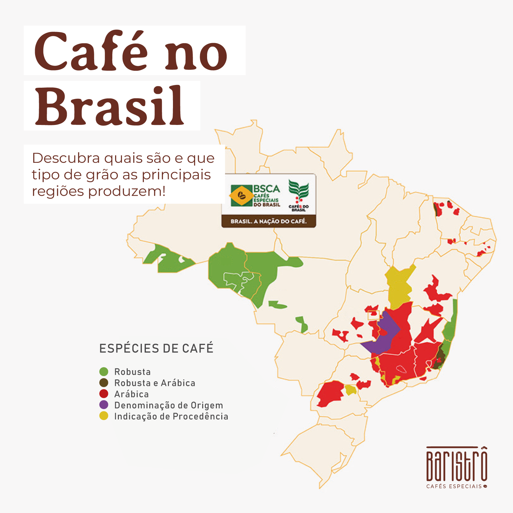 Café especial: conheça as principais regiões produtoras da Costa