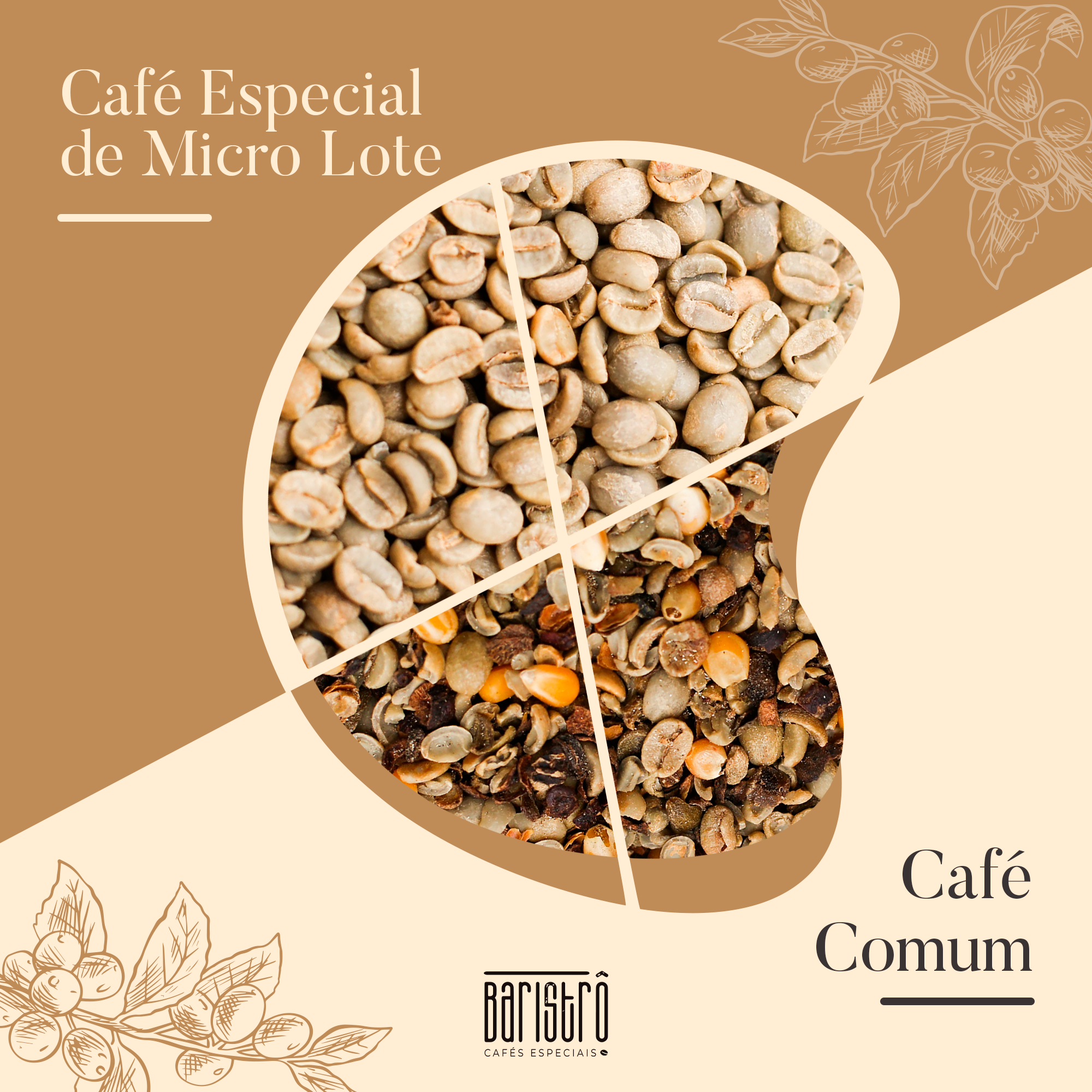 Café Arábica X Café Conilon: Entenda as diferenças!
