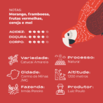 IMG SITE CAFÉ_ARARA INFO